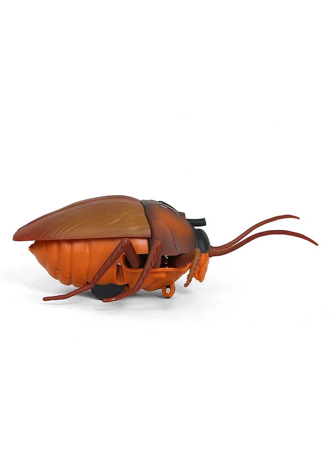 Hamleys Lifelike Moving Cheeky Cockroach, 6Y+, Brown | Safe & Gift-Friendly - Image 3